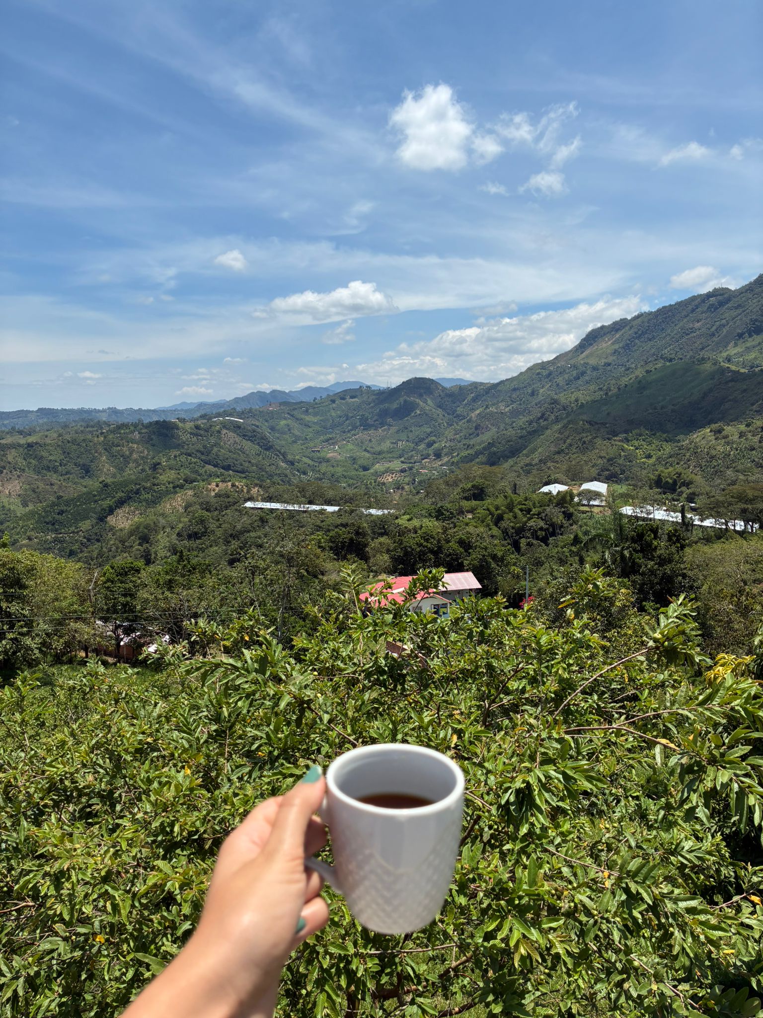 Taza de café Macahena con vista al Cerro Azul