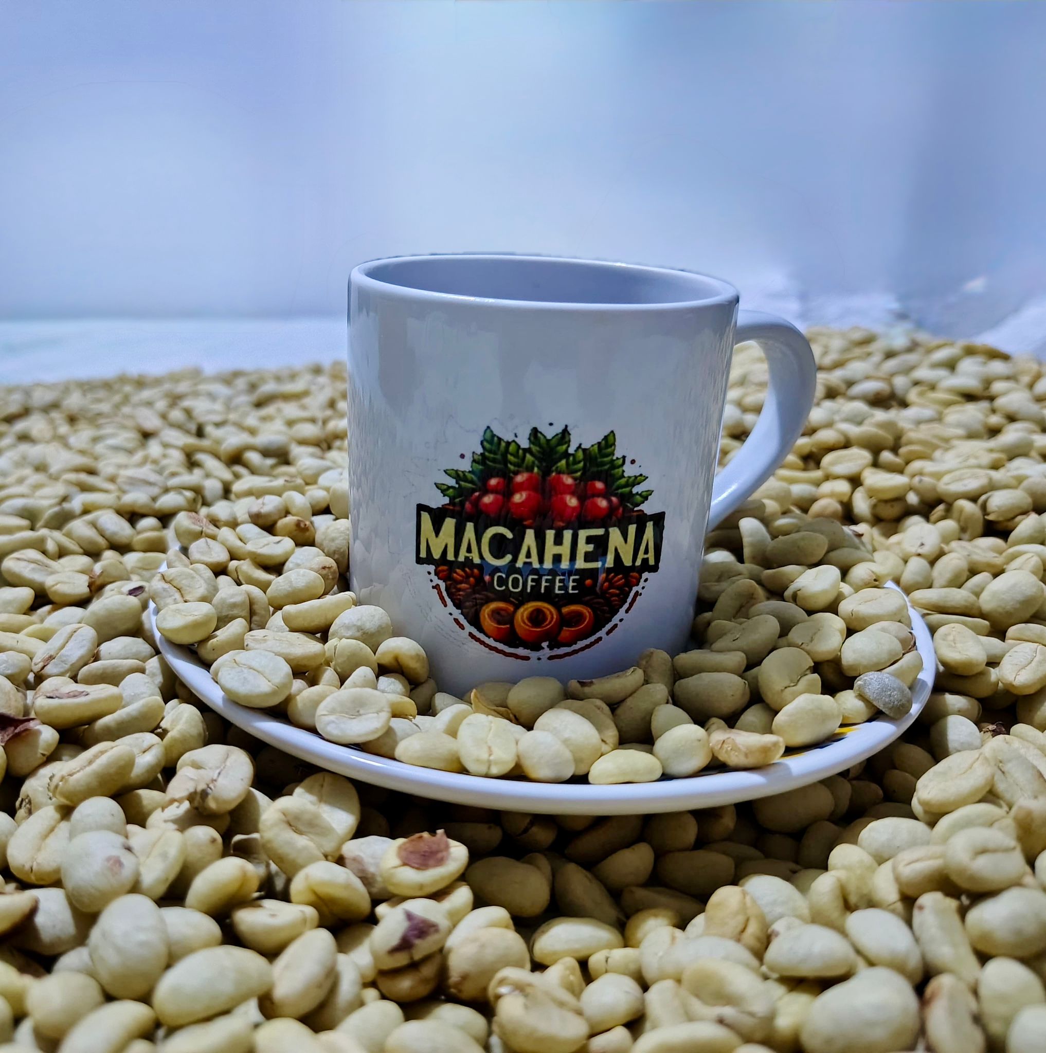 Macahena — taza de marca sobre pergamino seco