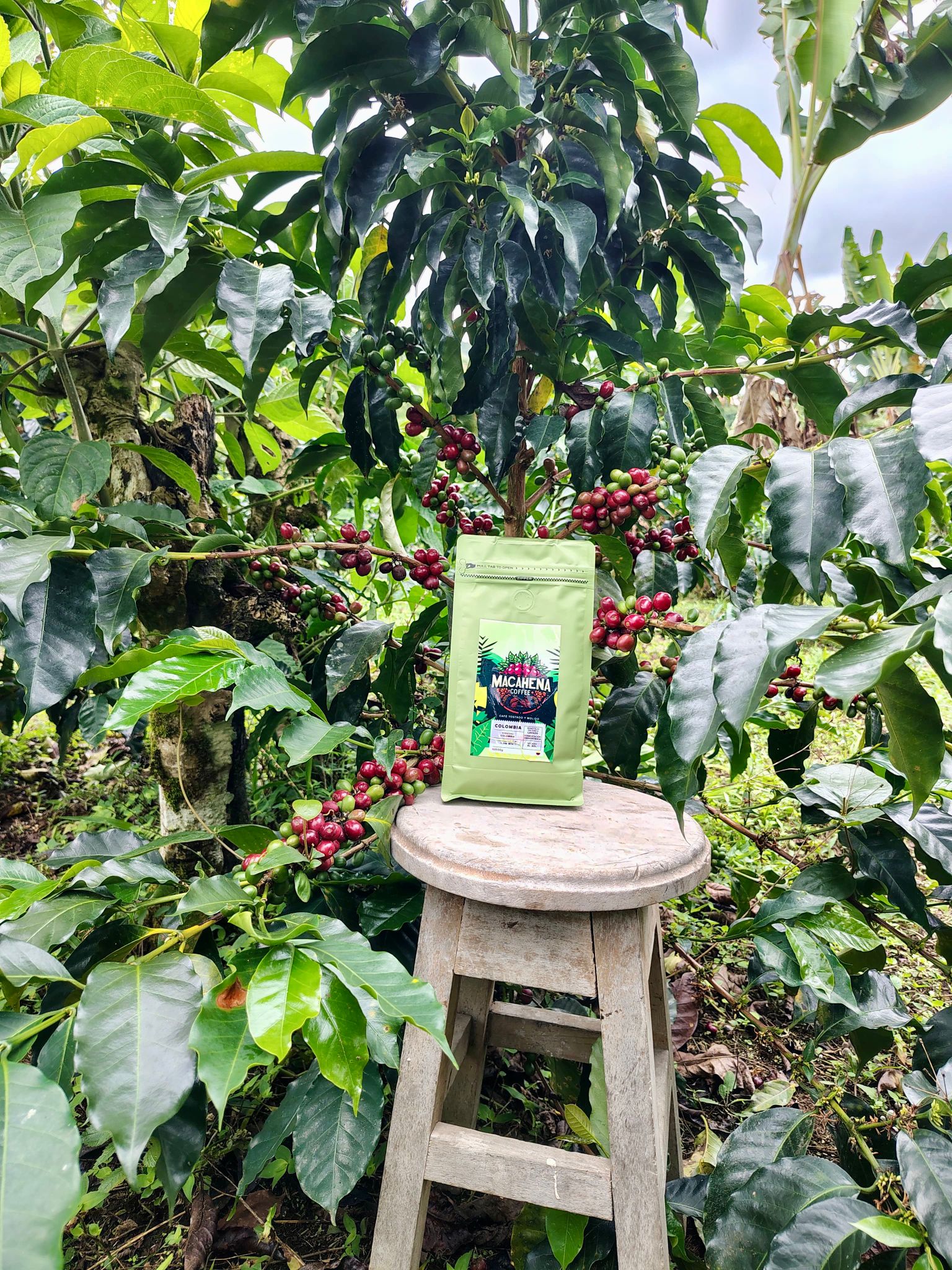 Empaque de Macahena entre los cafetales de Finca La Palma
